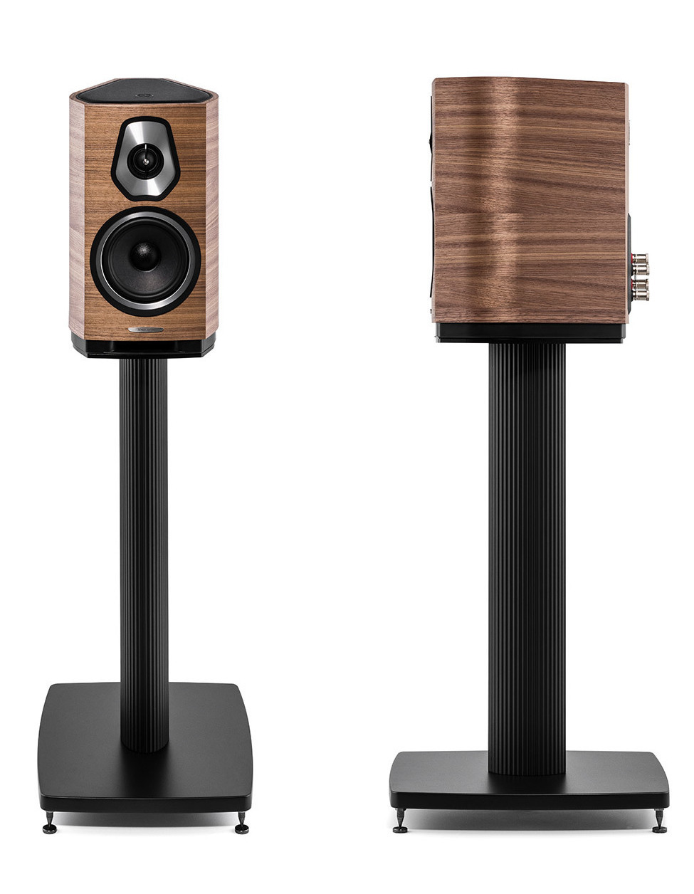 Sonetto I Sonetto I