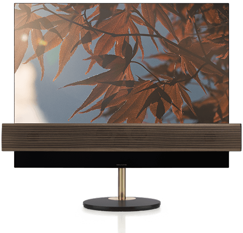 <span style="font-weight: bold;">Beovision eclipse Bang &amp; Olufsen</span><br>